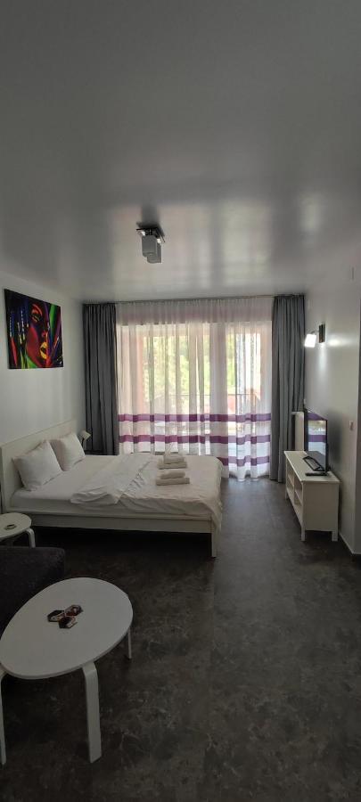 Appartement Belle View Sinaia Extérieur photo